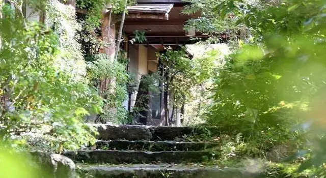 Ogiso