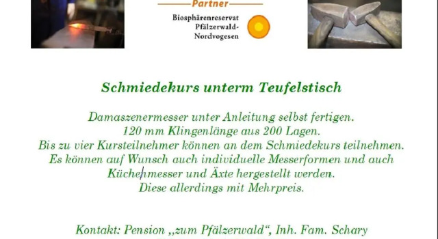 Номер Standard Pension - Gästehaus Zum Pfälzerwald