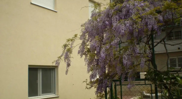 Apartmani Villa Marija, Rezerwuj Willa Tice Split Region