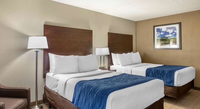 Четырёхместный номер Standard Comfort Inn Grand Rapids Airport
