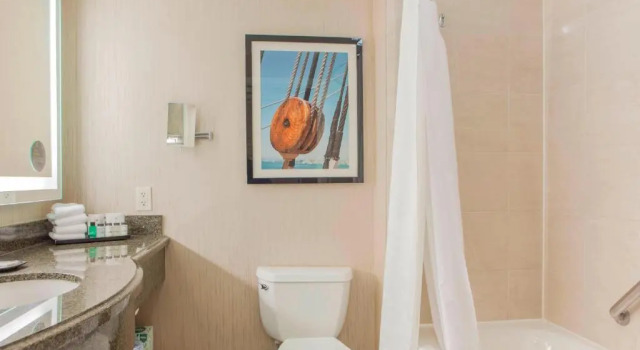 Номер Standard с видом на сад Sheraton Sonoma Wine Country Petaluma