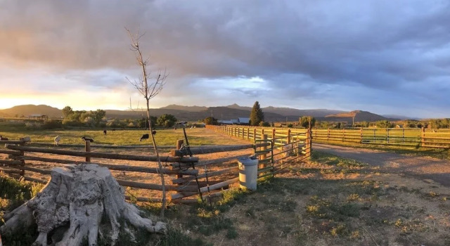 Timeless Mesa Hideaway 2 Bedroom Cabin, Buchen Sie Ferienhaus Mesa Colorado