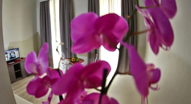 Двухместный номер Standard с балконом Principe Relais Suite & Spa