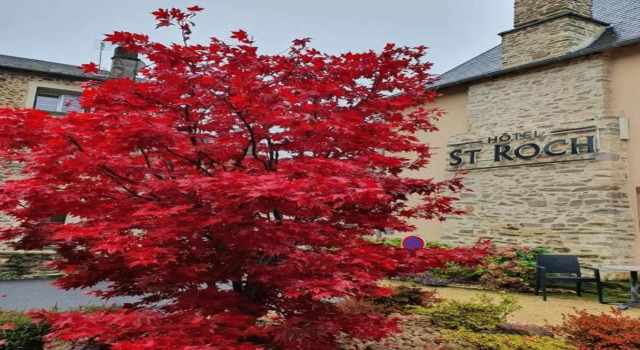 Hôtel Saint-Roch, Saint-Ybard, Prenota Hotel Hotel a Alvernia con parcheggio, Parcheggio
