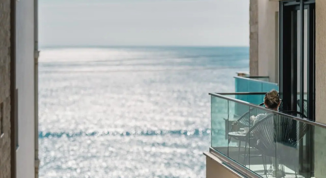 Полулюкс Barjaktar Boutique Hotel