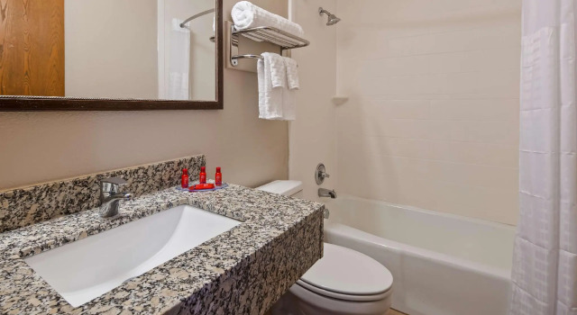 Двухместный номер Standard Ramada by Wyndham Cedar Rapids South