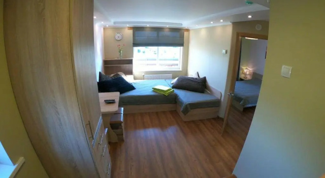 Lavander suite