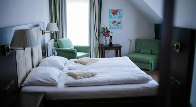 Номер Comfort Hotel Friesacher`s Aniferhof