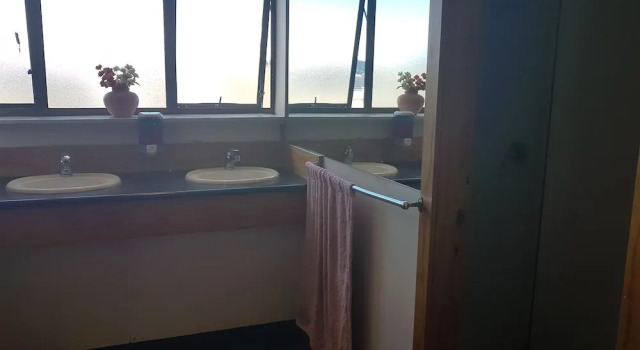 Номер Standard Wild Zebra Backpackers