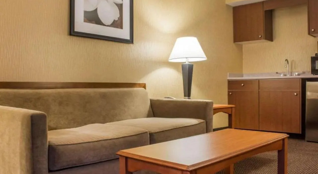 Люкс c 1 комнатой Clarion Hotel & Suites Riverfront