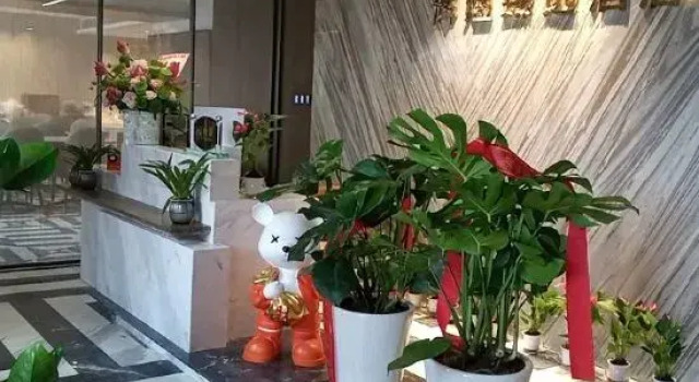Huiyu Zhenxuan Hotel (Hechuan Baolong Square Branch), Prenota Hotel Distretto di Hechuan Chongqing Area