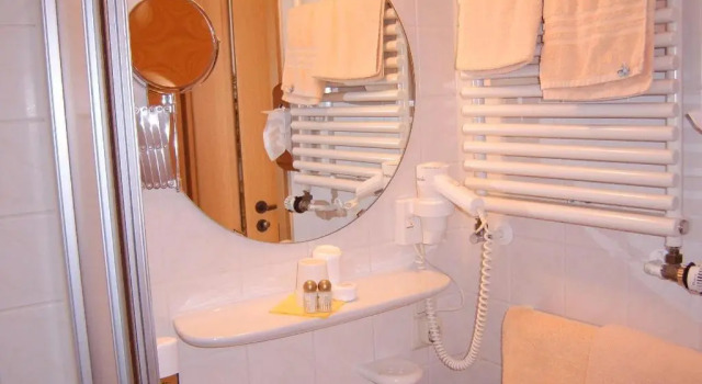 Одноместный номер Standard Hotel-Gasthof Zur Rose
