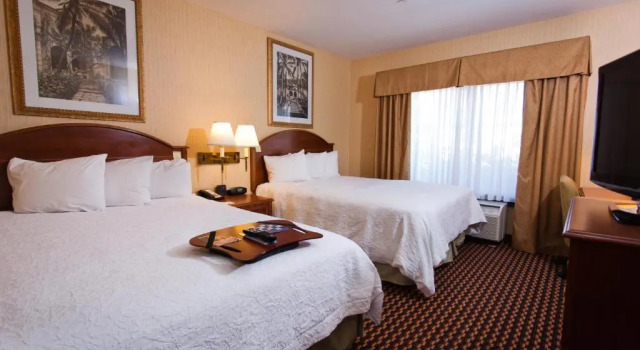 Двухместная студия Hampton Inn & Suites Sacramento-Cal Expo