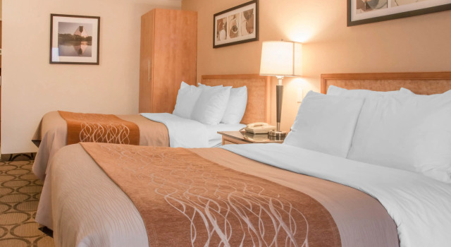 Comfort Inn Dryden