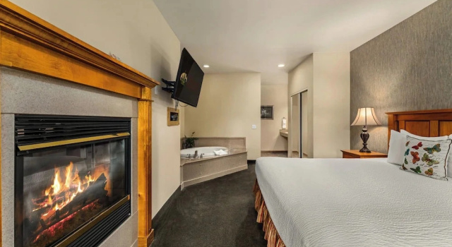 Люкс Deluxe Redwood Hyperion Suites