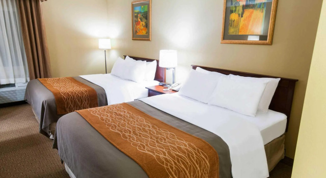 Четырёхместный номер Standard Comfort Inn New Holland Amish Country