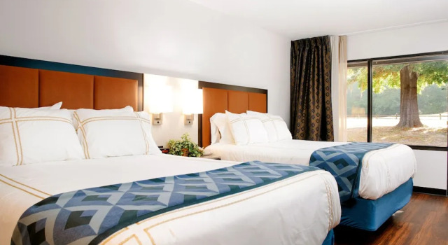 Четырёхместный номер Premium Little Ocmulgee State Park and Lodge