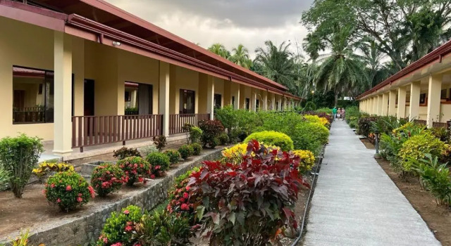 Номер Superior La Foresta Nature Resort