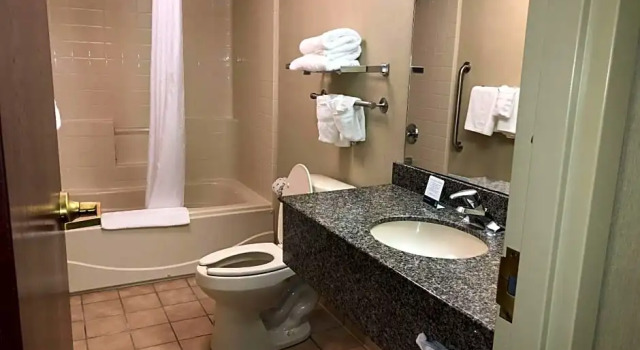Люкс Quality Inn And Suites Skyways