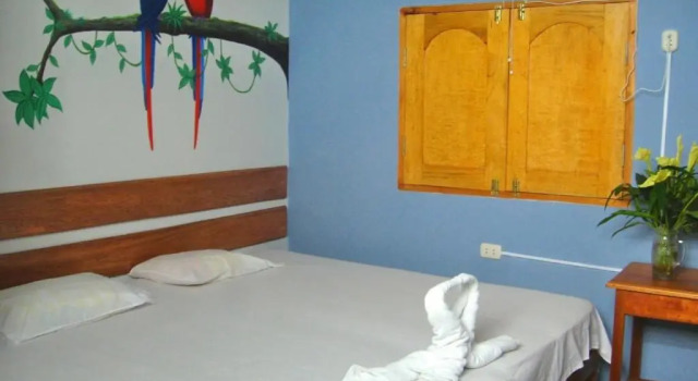 Двухместный номер Standard Amazon House Hostel
