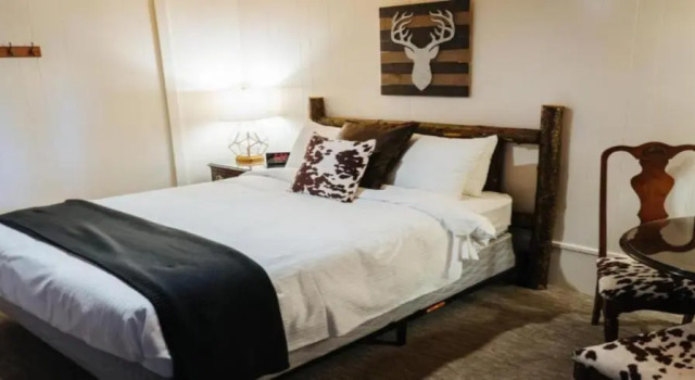 Одноместный номер Economy River Lodge