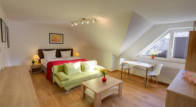 Апартаменты Hotel Leo Mühlhausen