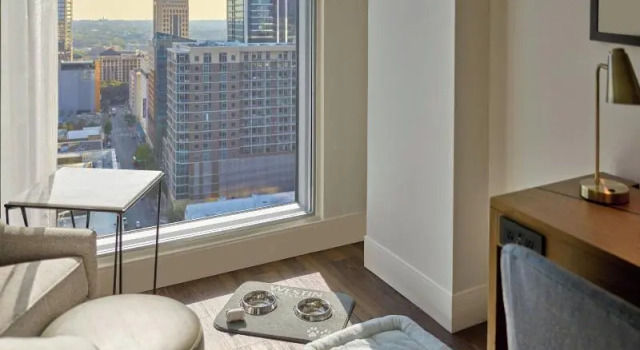 Четырёхместный номер Standard The Westin Austin Downtown