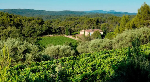 Номер Superior Domaine du Clos dAlari-chambres dhôtes au milieu des vignes
