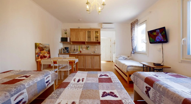 ECO-LUX APART with free bicycles end free parking