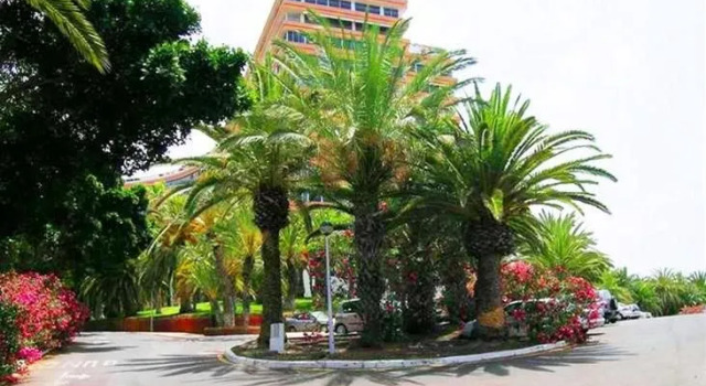 Maeva Clubhotel Marazul del Sur