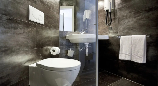 Полулюкс Hotel Internazionale Bellinzona