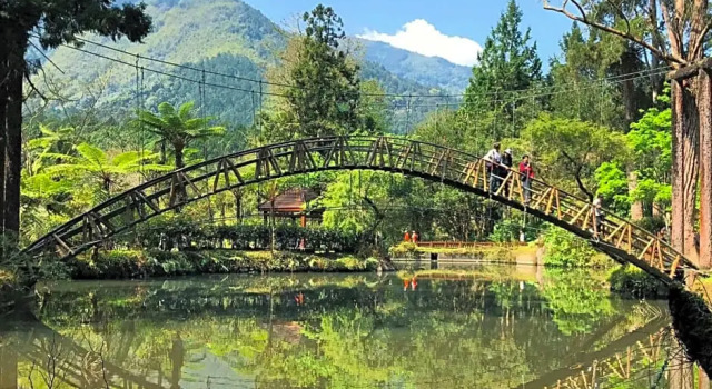 Четырёхместный номер Standard Xitou Youth Activity Center