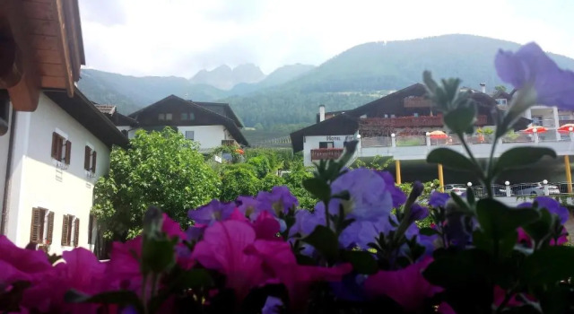 Номер Standard Baumgartners Blumenhotel