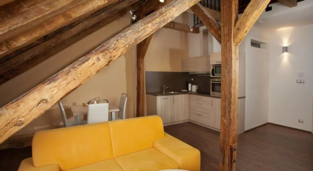 Апартаменты Дуплекс c 1 комнатой Residence U Černé Věže České Budějovice