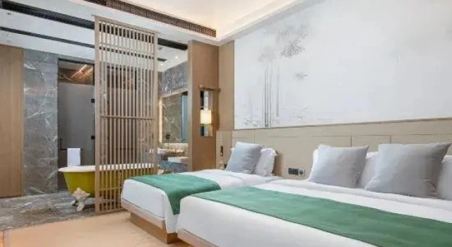 Люкс Liyang Yushui Hot Spring Forest Hotel