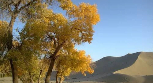 Dunhuang Tianyuan Youth Hostel, 预订 青年旅舍 酒泉市 甘肃