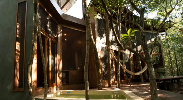 OJO DE ÁRBOL, boutique cabin in the jungle. Relax