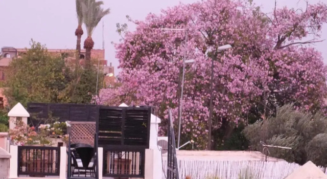 Riad Manissa, Reservar Hotel Kasbah 