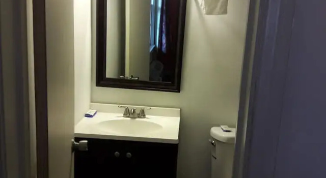 Номер Standard OYO Palm Leaf Motel