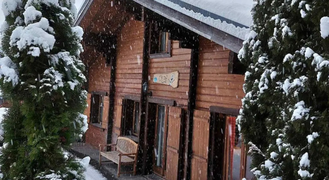 Chalet Les Gets, 4 pièces, 8 personnes - FR-1-623-310