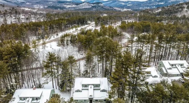 Апартаменты 3 Mi to Story Land: All-season Family Condo