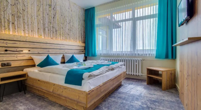 Полулюкс Panorama Ferien Hotel Harz