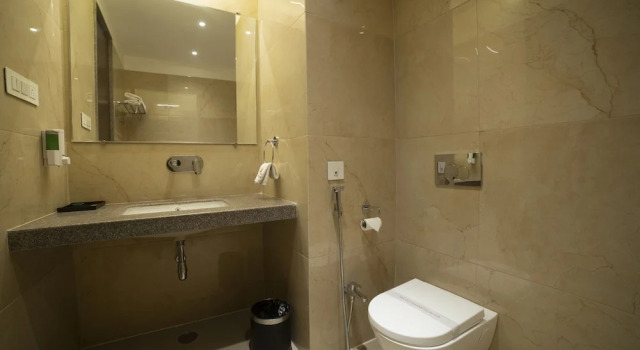 Номер Deluxe HOTEL RAJHANS ABHINANDAN