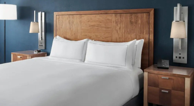 Двухместный номер The Alloy, a DoubleTree by Hilton - Valley Forge