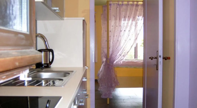 Студия Residence Venus Garden