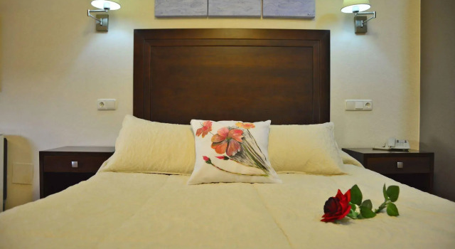 Hotel & Spa Plaza Arriate