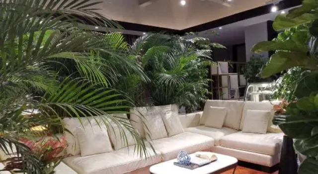 Serenus Ark, Book Hotel Langfang Hebei