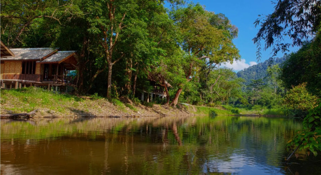 Семейный номер Standard Khao Sok Riverside Cottages