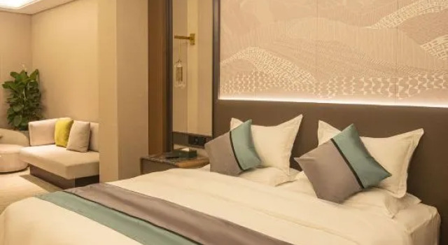 Люкс Luohe Junhao Licheng Hotel