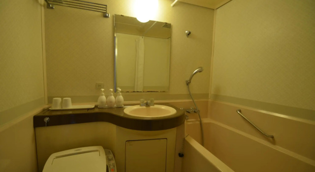 Одноместный номер Standard Select Inn Fujisan Gotemba